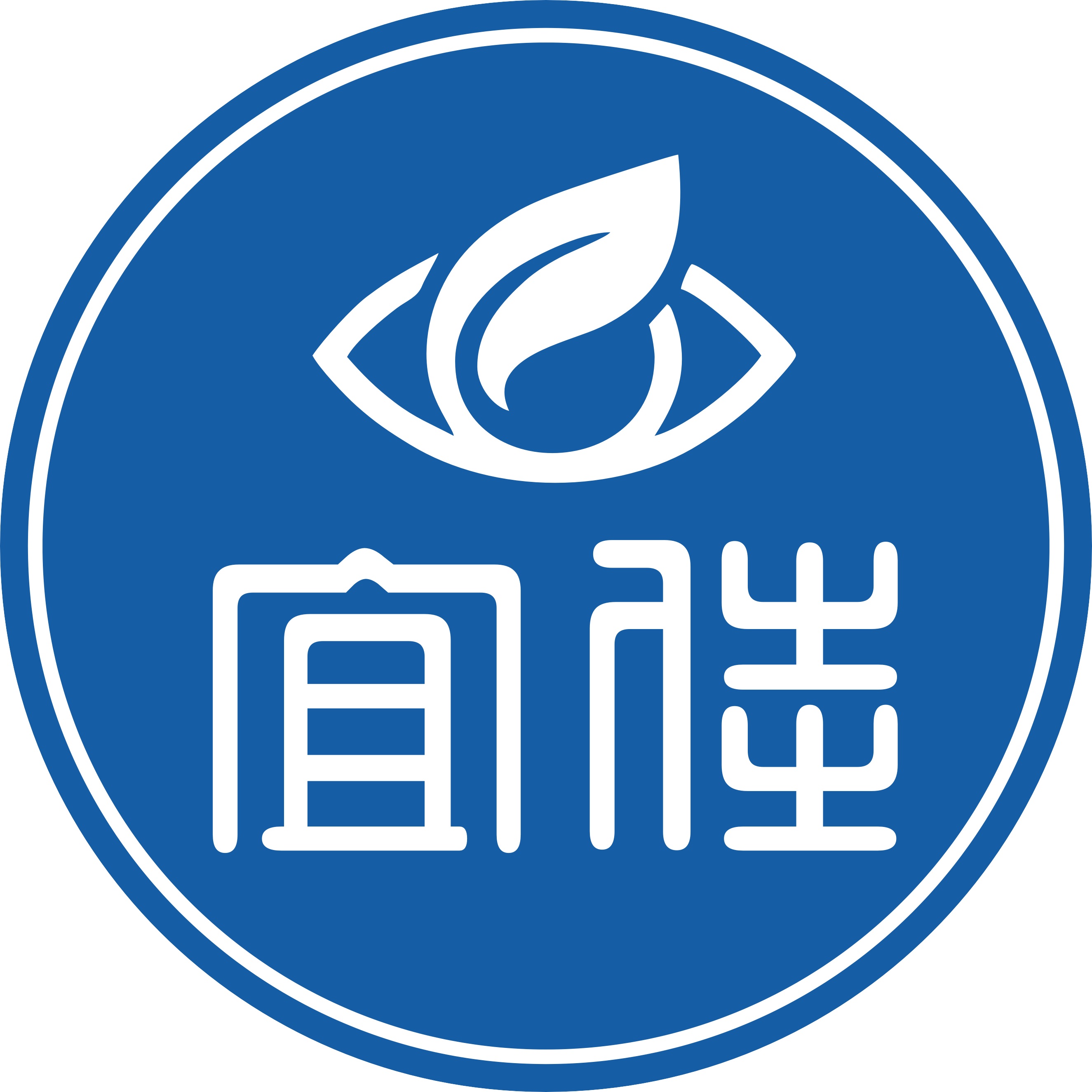 上海宜佳眼镜有限公司在眼镜人才网(眼镜人才网)的标志